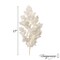 Uniquewise Preserved Real Floral Stems Chic Vase Fillers & Accents for Bouquets Centerpieces & Ornamental Displays Ideal for Home Office Boutique Cafe Resto Bar and Event Decor